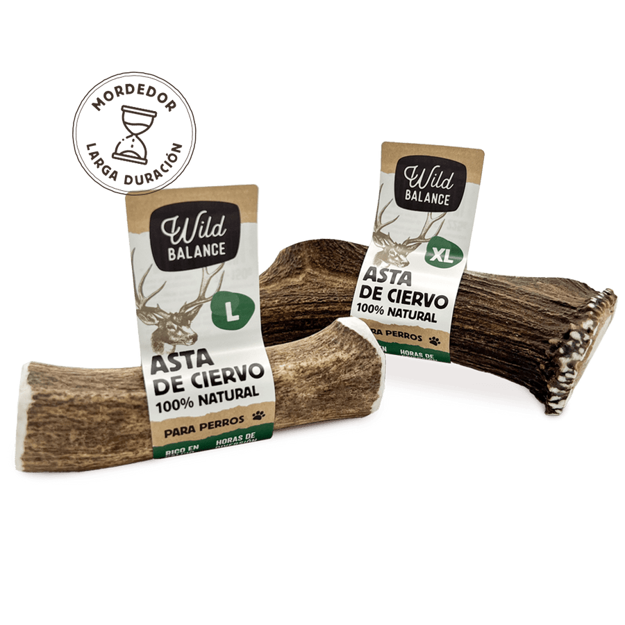 Banya de cérvol L sencera